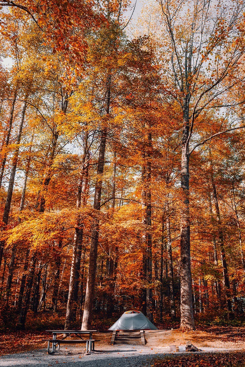 great smoky mountains, national park, tennessee-1883650.jpg