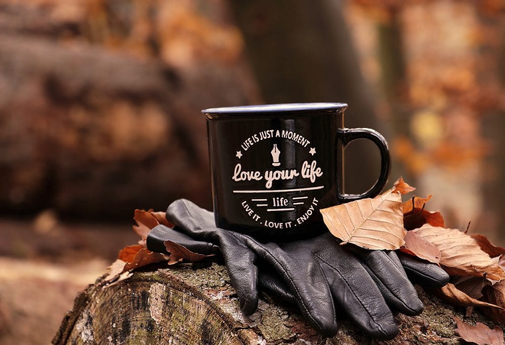forest, fall, cup-4656856.jpg